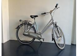 Gazelle orange C8