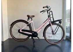 Gazelle miss grace
